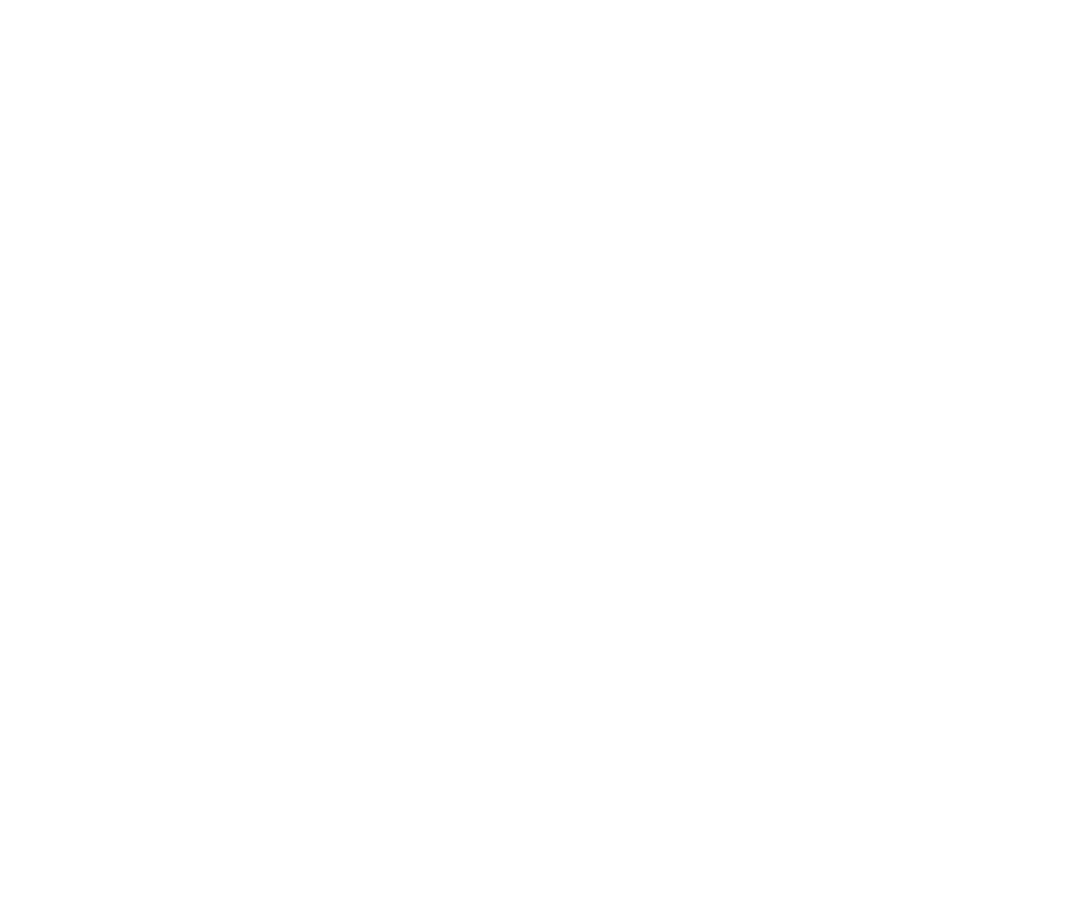 Dan Timm Group